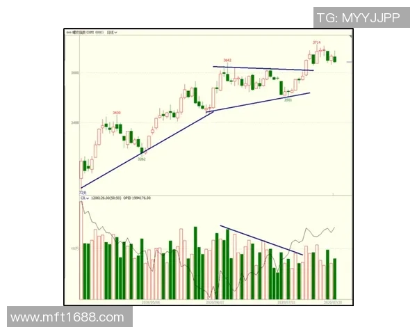 广州乒乓球队防守策略深度解析与技术探讨